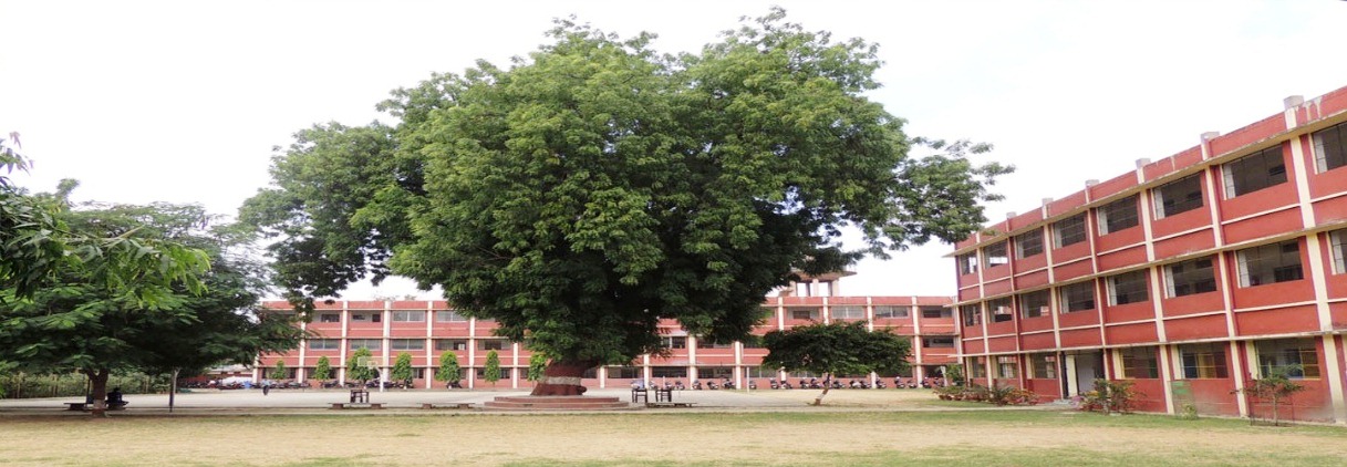           D.P. PUBLIC SCHOOL 
